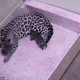Illustration for article titled ZOMG BABY JAGUAR!!!